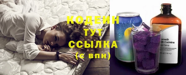молекула духа Белокуриха