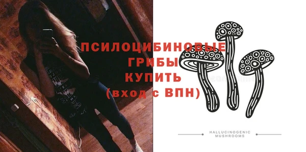 прущий лед Белоозёрский