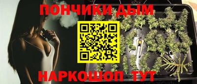 Альфа ПВП Беслан