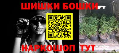 Альфа ПВП Беслан