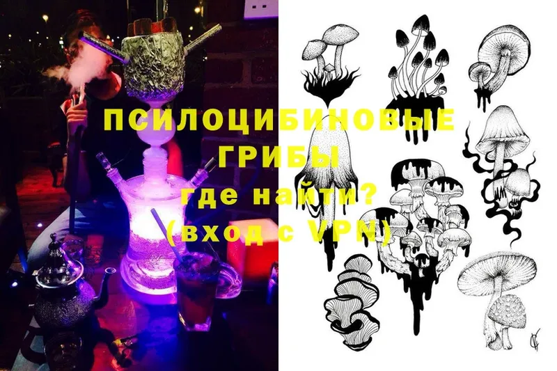 Галлюциногенные грибы Magic Shrooms  Гатчина 