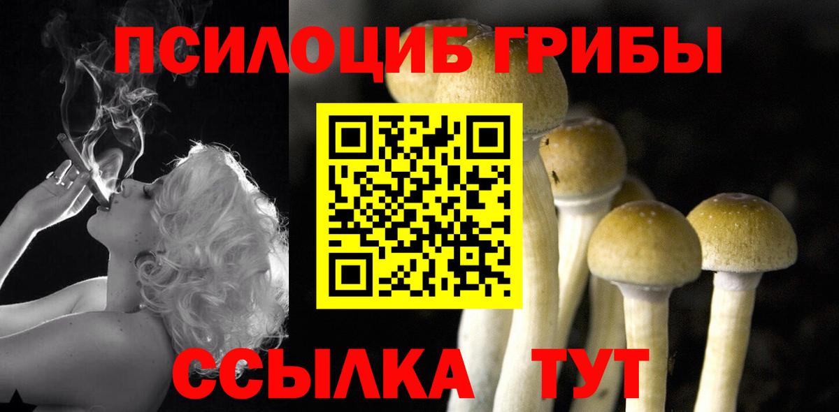 Псилоцибиновые грибы Magic Shrooms Гатчина